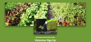 Image of plant being watered and garden rows, with Kane Street Community Garden volunteer sign up information.