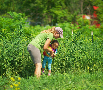 GARDEN-PNG